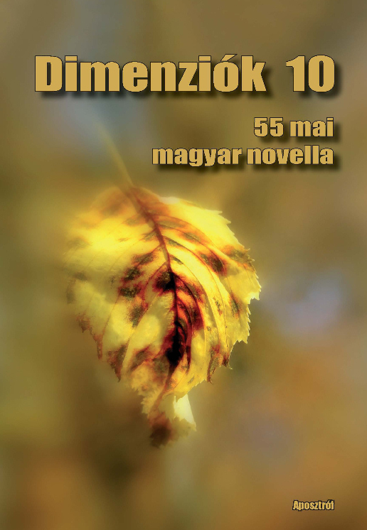 Dimenziók 10 - 55 mai magyar novella